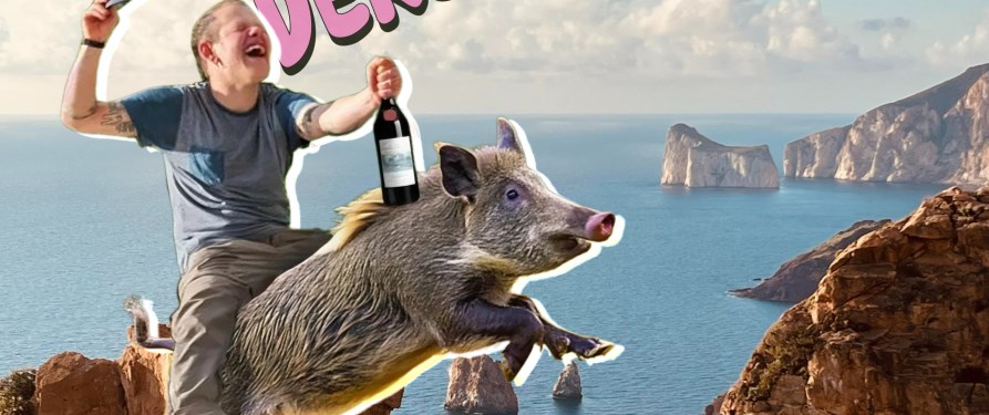 un cammino pieno di sole e risate